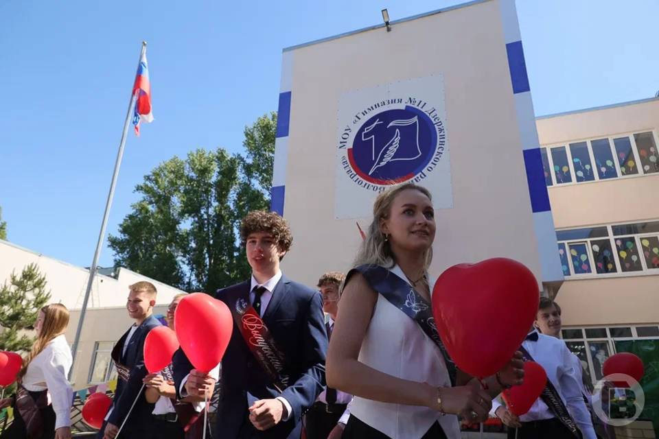 Какие профессии планируют получить волгоградские выпускники