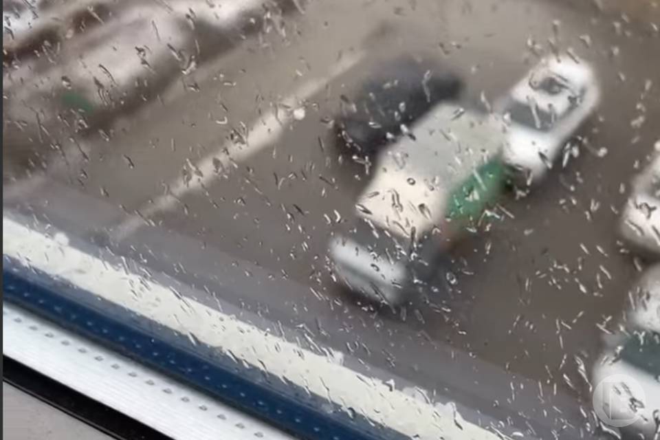 Вслед за снегом в Волгограде выпал град