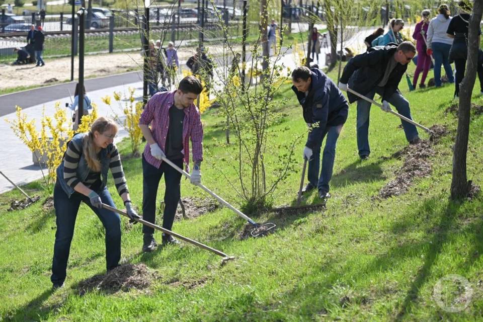 В Волжском готовятся к всероссийскому субботнику