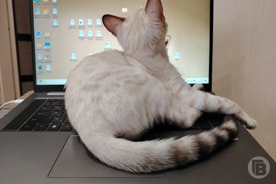 Волгоградцы назвали самые скучные профессии