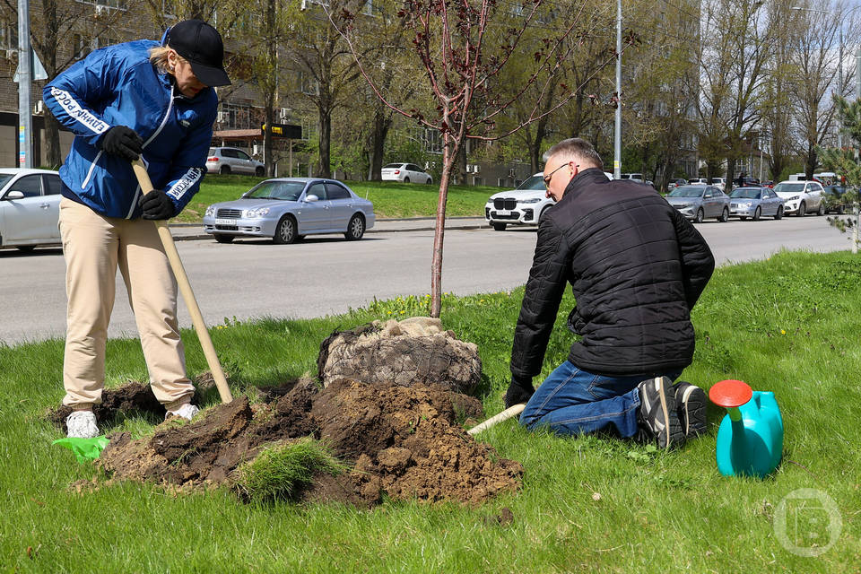 Фото: Дмитрий Рогулин / "Городские вести"