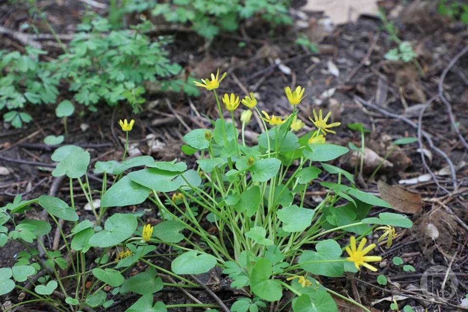 О погоде в Волгограде 26 апреля сообщают синоптики