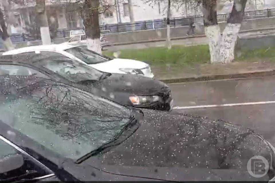 Апрельская метель бушует в Волгоградской области