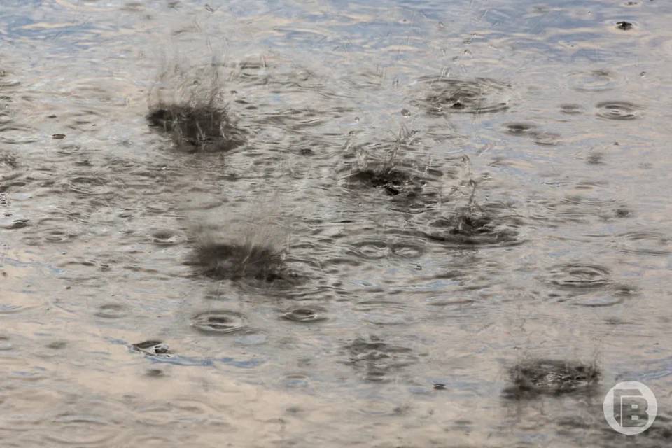 Еще одна неделя дождей зарядит в Волгограде