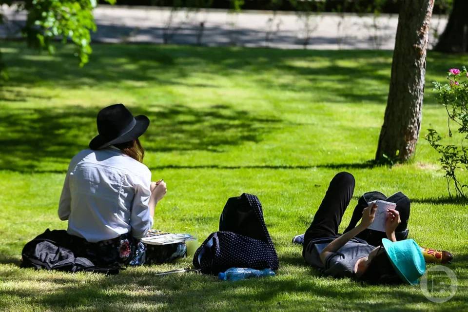 Волгоградцы рассказали, чем займутся на майские праздники