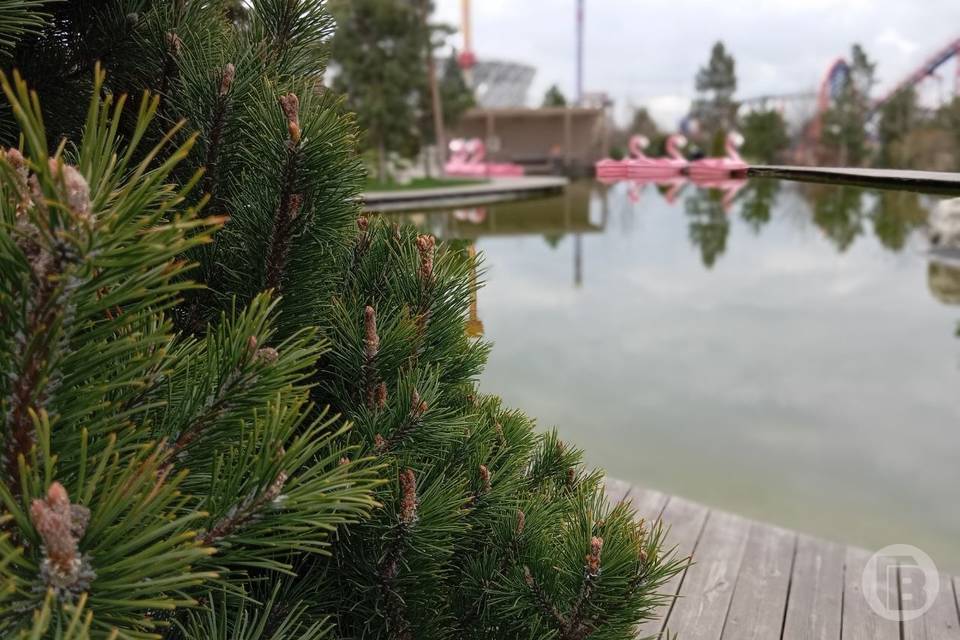 6 мест для семейного отдыха в Волгоградской области на майские праздники