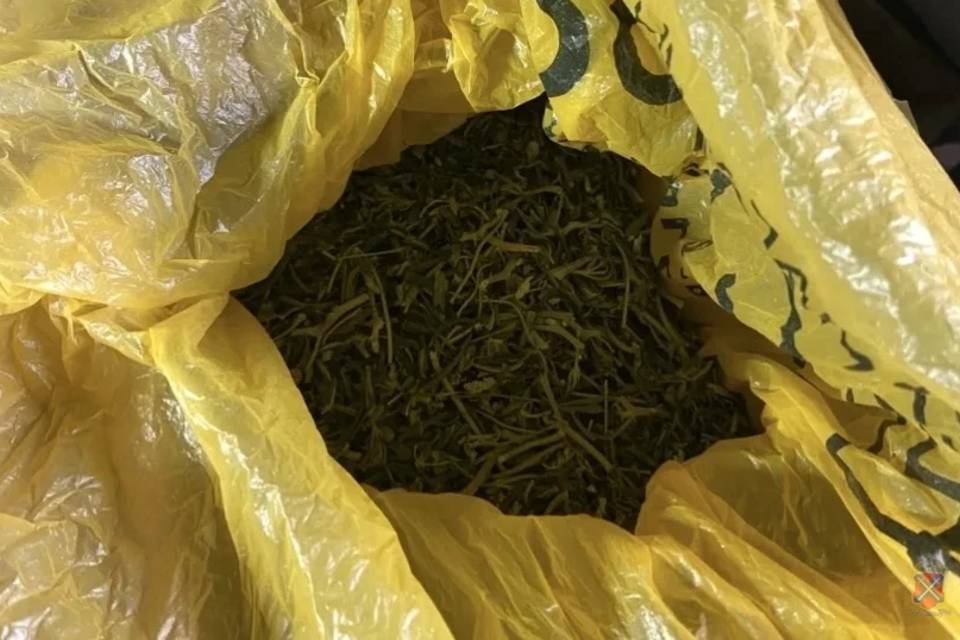 Около 320 граммов конопли нашли полицейские у волгоградца в сарае дома