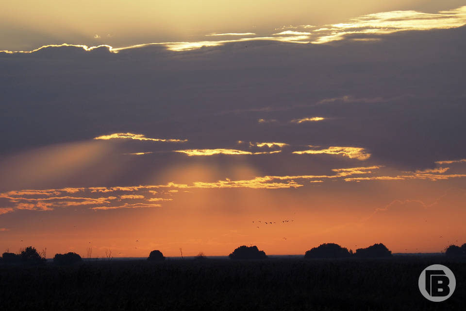 Сильный ветер в Волгограде прогнозирует МЧС