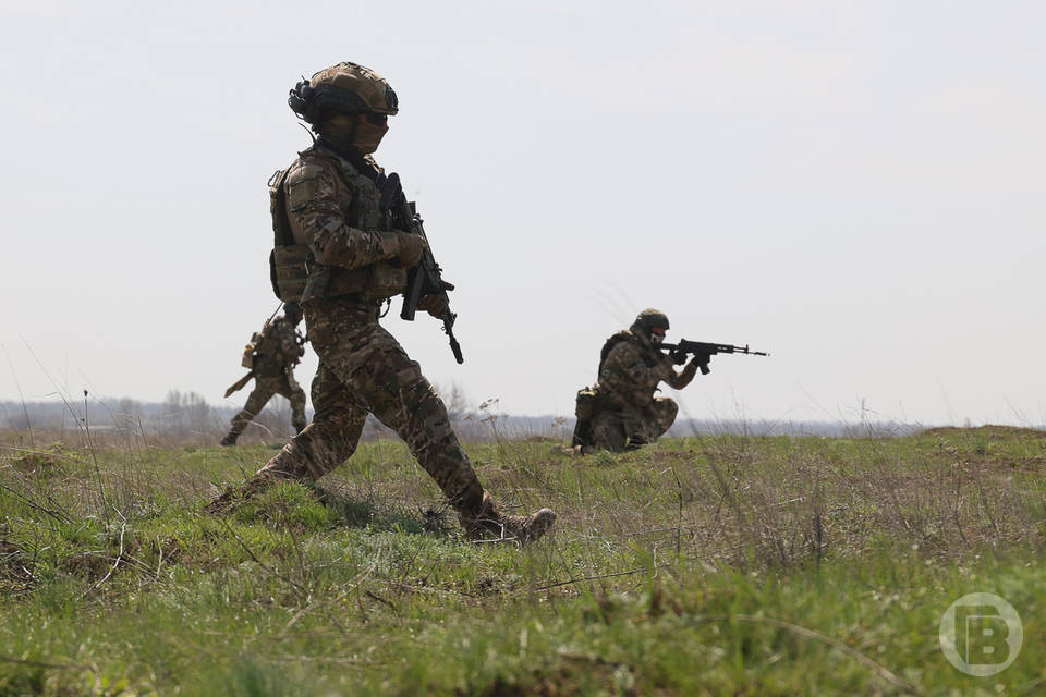 Введены квоты в вузах и колледжах для вдов участников СВО