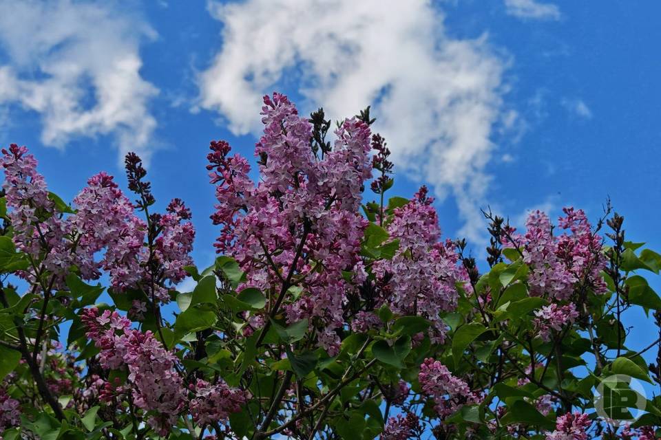 30 апреля -день Зосима Пчельника: что нельзя делать в этот день