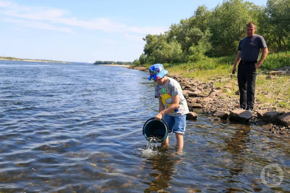 Нерестовые запреты в мае 2026 года: где нельзя рыбачить в Волгоградской области