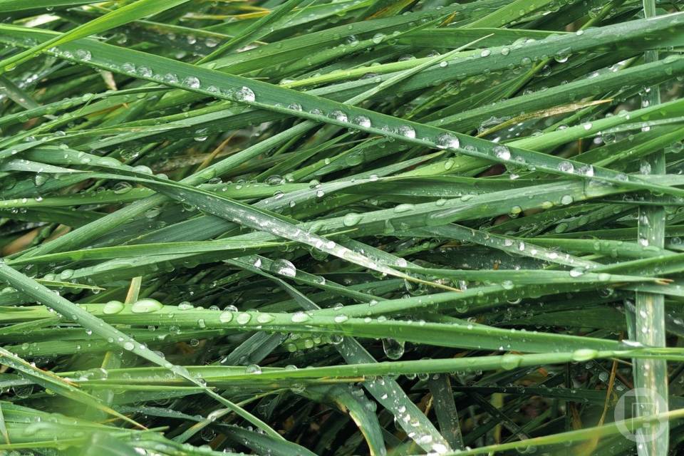 До плюс 24 градусов потеплеет в Волгограде