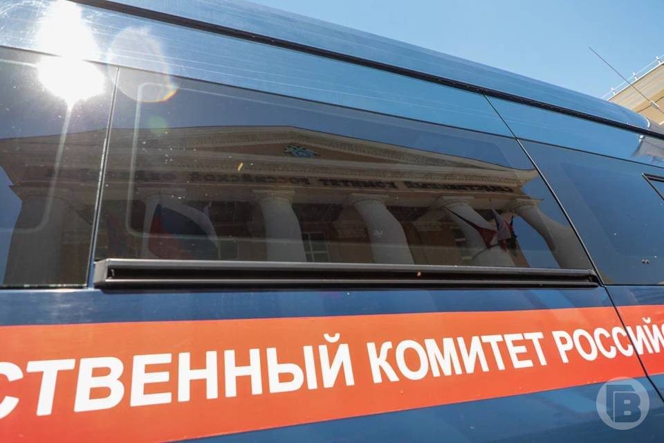 В Камышине женщина ударила сожителя ножом в грудь
