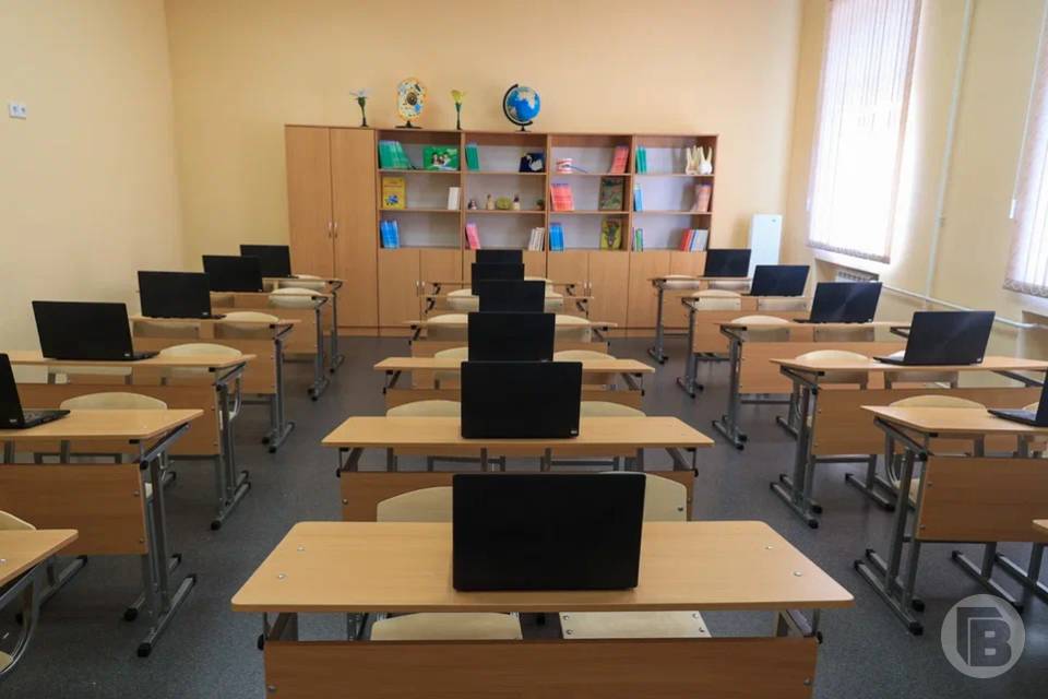 В волгоградских школах и вузах могут появиться кибердружины