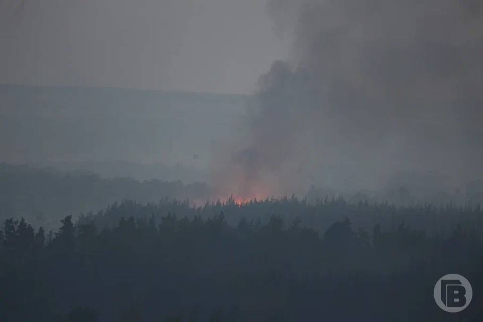 Пожароопасность 4-го класса ожидается в Волгоградской области