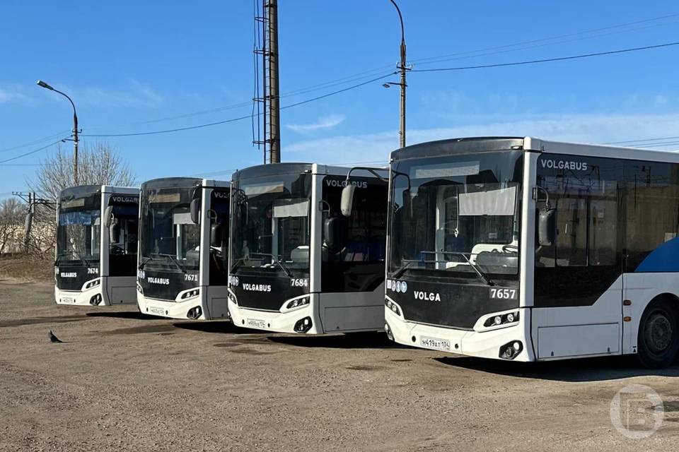49 новых автобусов едут в Волгоград и Волжский уже в этом году