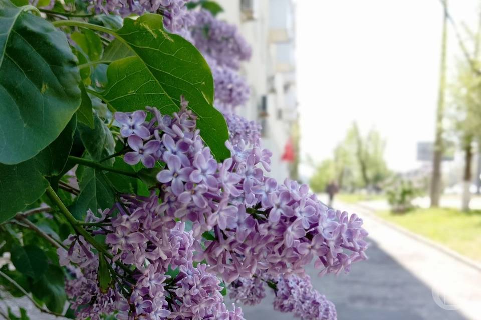 Что запрещено делать 15 мая, чтобы не прожить без денег весь год