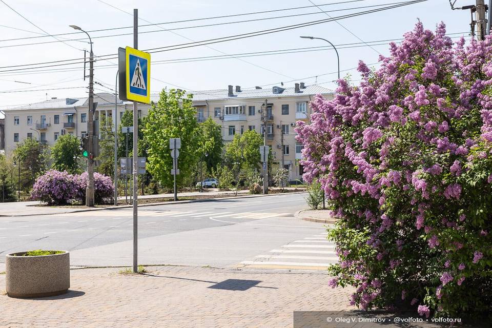 Жара до +33 и дожди ждут волгоградцев в ближайшие дни