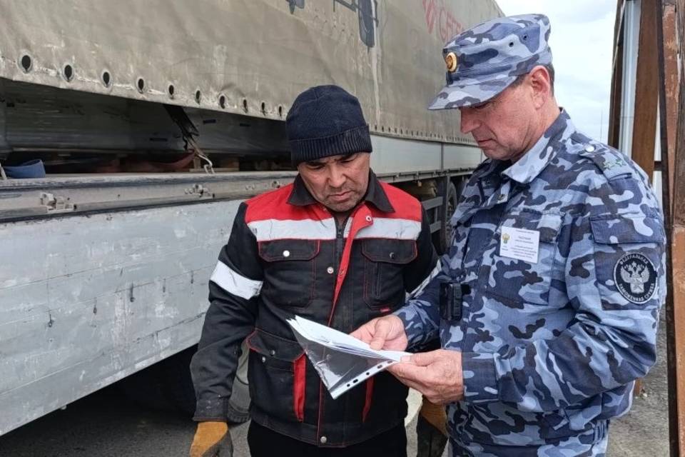 С 1 июня в Волгоградской области заработала новая система контроля импорта