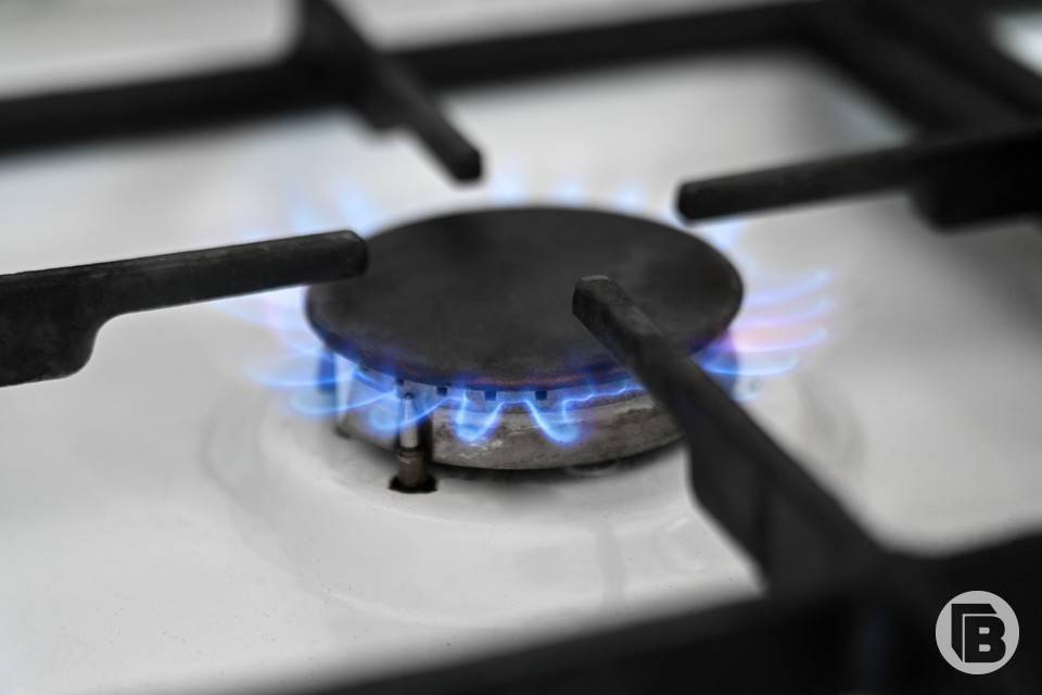 Волгоградцам напомнили о соблюдении правил безопасности при пользовании газом