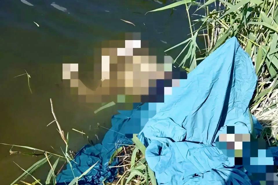 Тело мужчины подняли из реки Бузулук под Волгоградом