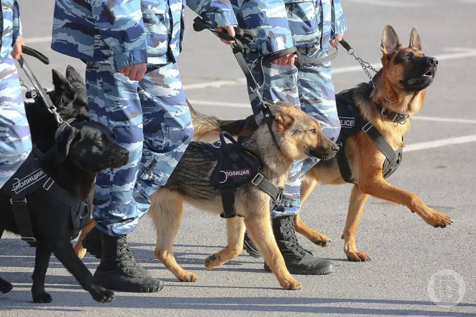 В Астрахани мужчина открыл стрельбу у кафе и ранил двух человек
