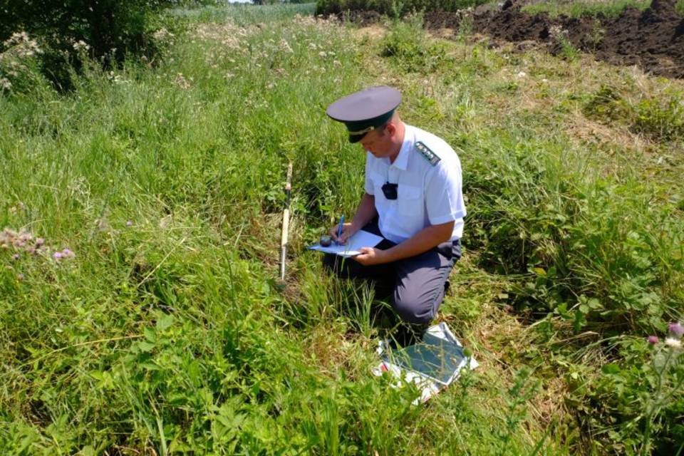23 гектара сельхозугодий заросли сорняками под Волгоградом
