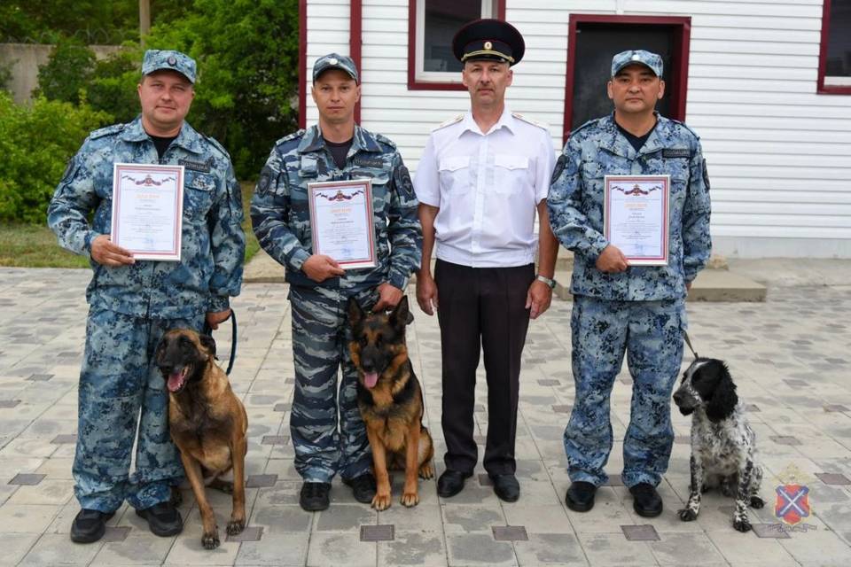Волгоградские кинологи получили награды в профессиональный праздник