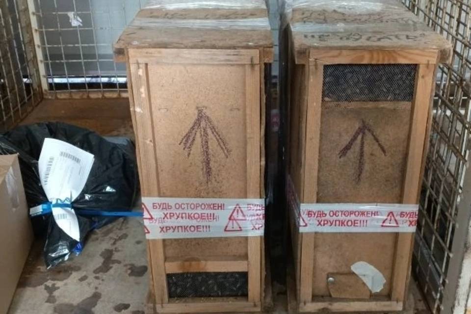 "Хрупкое!": по почте прислали необычный груз в Саратов