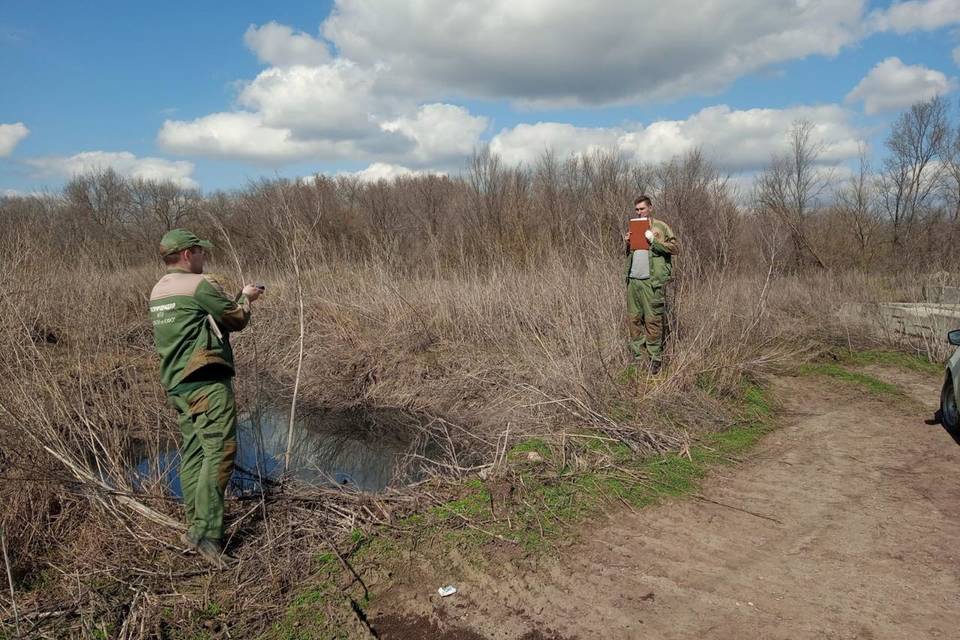 Больше 1 млн рублей заплатит житель Волгоградской области за причиненный вред природе