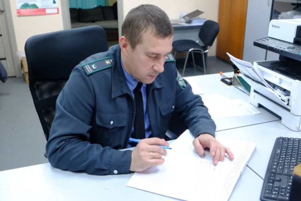 40,6 тонны семян пшеницы списал без документов ИП под Волгоградом