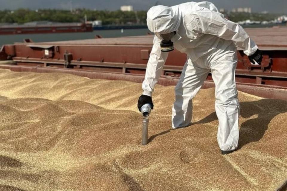 325,3 тыс. т зерна обеззаразили в Волгоградской области