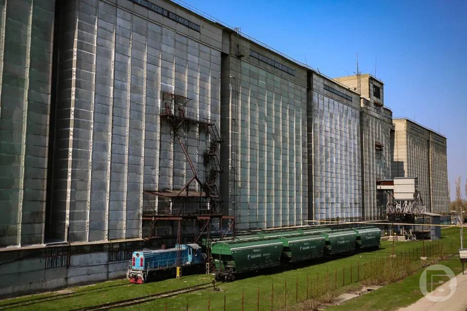Больше 1,3 млн м³ волгоградских хранилищ подготовили к новому урожаю зерна