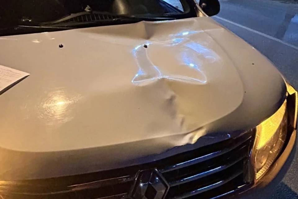 70-летний водитель Renault Duster наехал на двух мужчин в Волжском