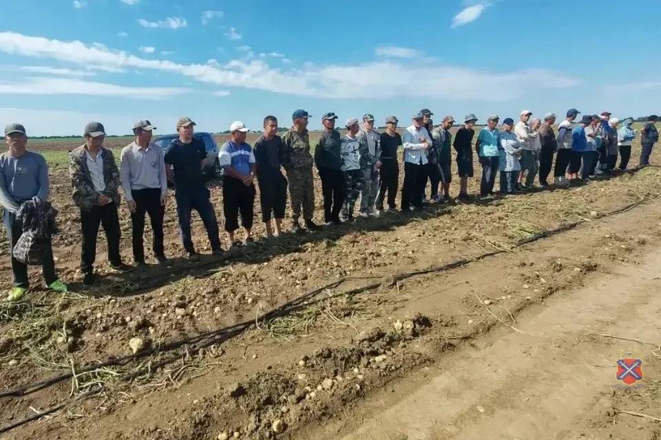 26 мигрантов доставили с полей в полицию под Волгоградом