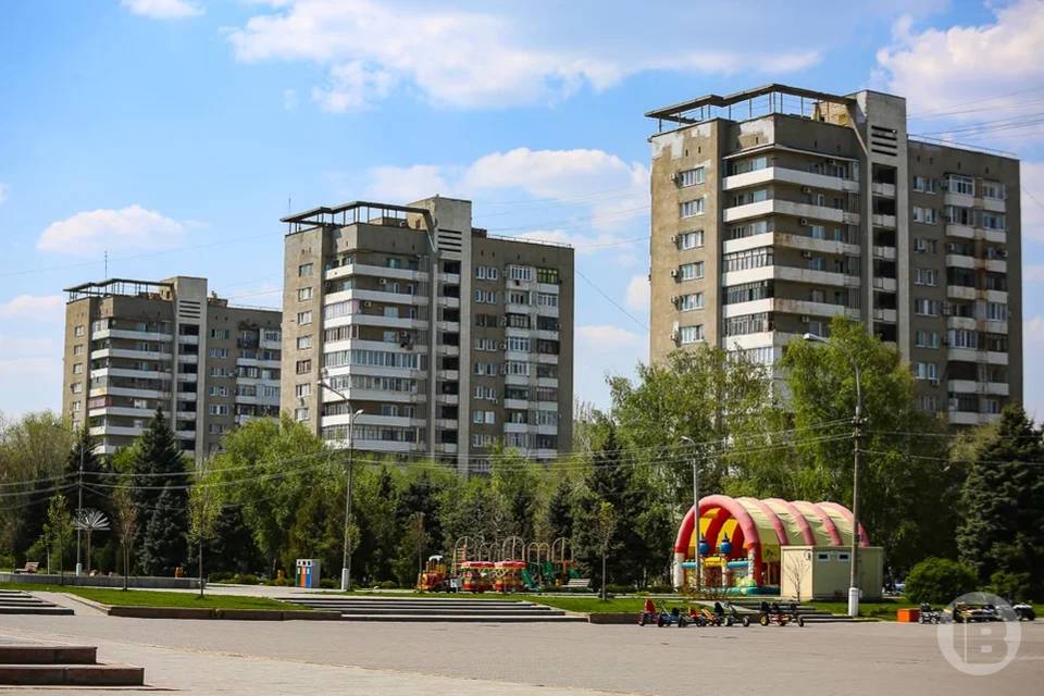 В Волжском проведут обработку деревьев от вредителей