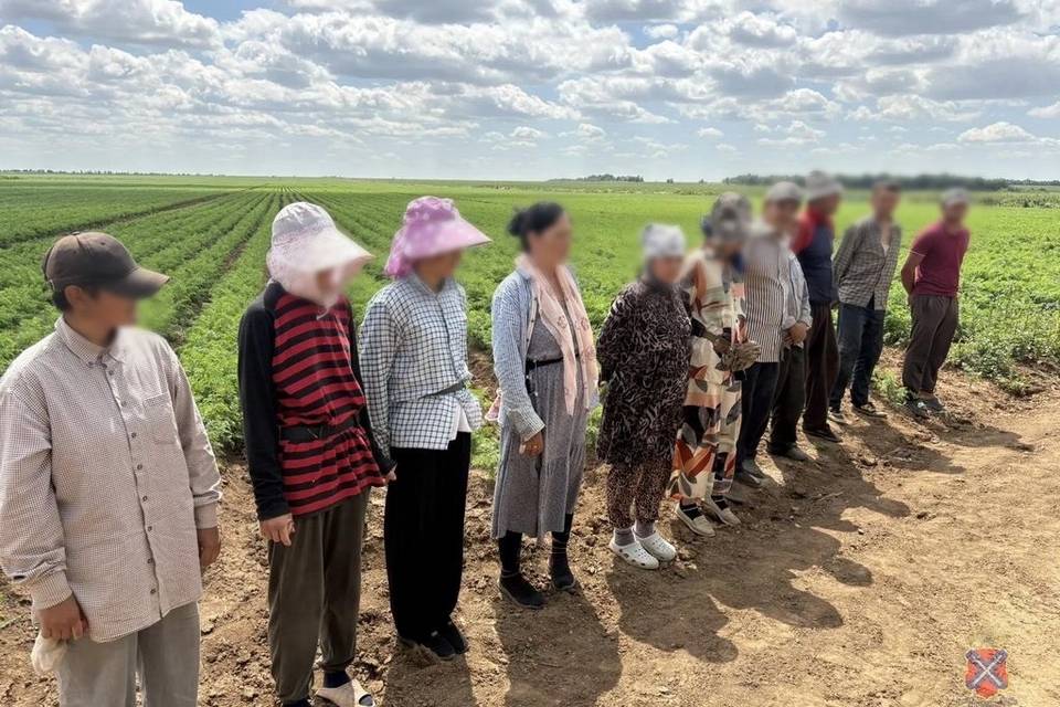 Трех незаконных мигрантов выдворят из Волгоградской области на родину