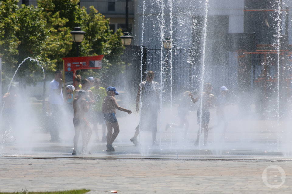 Насколько жарко будет в Волгограде 20 июля, спрогнозировали синоптики