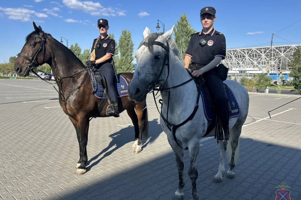 Росгвардия и полиция охраняли стадион "Волгоград Арена" на матче "Ротора"