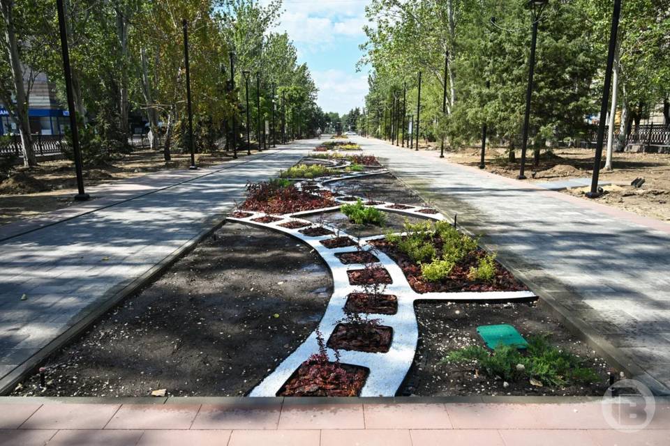 Фото: Павел Мирошкин / "Городские вести"