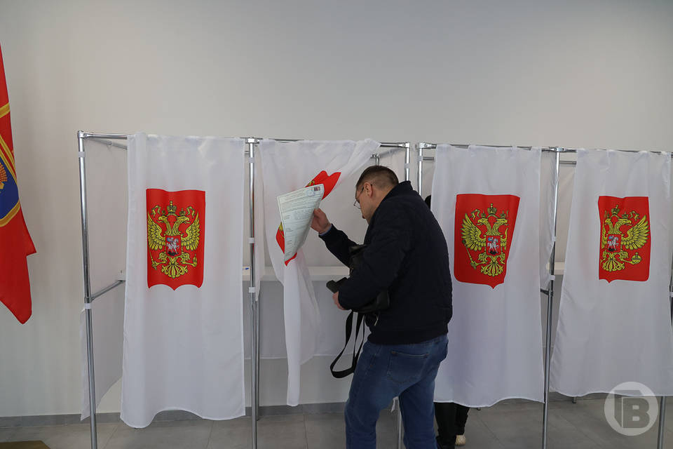 Волгоградцам объяснили, как стать «мобильными избирателями»