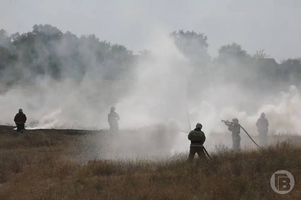 Чрезвычайная и высокая пожароопасность ожидается в Волгоградской области
