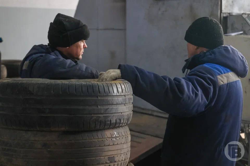 Восемь карьерных перспектив есть для возрастных волгоградцев
