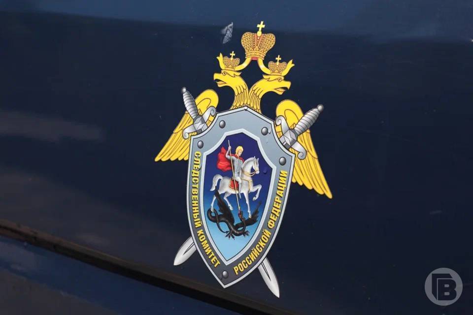 СК: волгоградец обвиняется в причинении смерти своей знакомой