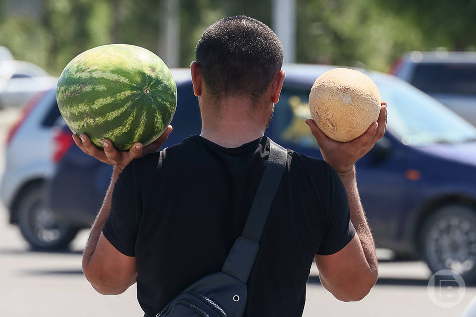 Волгоградцы узнали, как вернуть деньги за плохой арбуз
