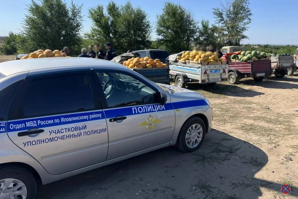 МВД не выявило нарушений в сфере придорожной торговли под Волгоградом