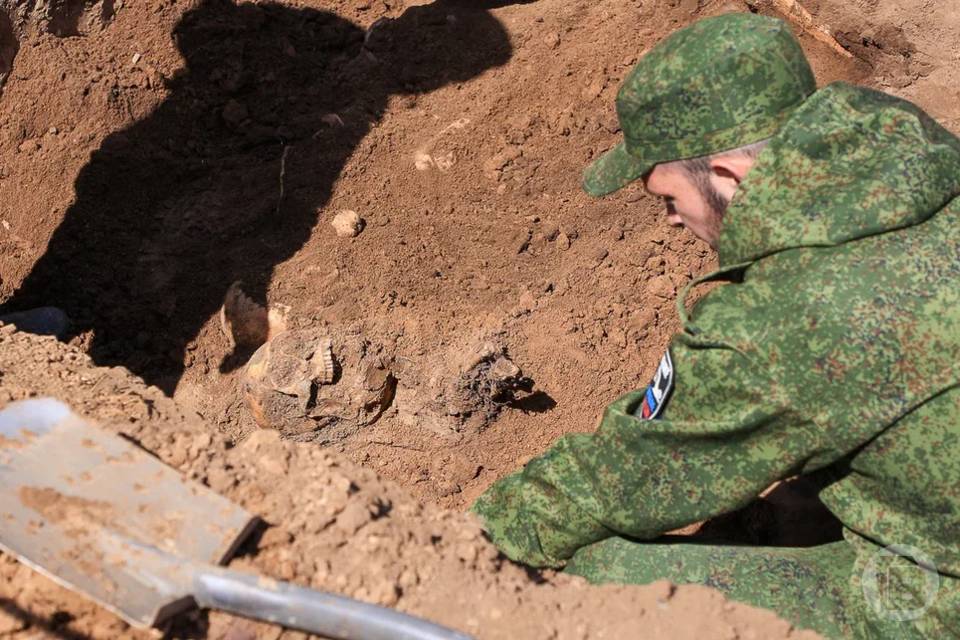 Более 100 российских поисковиков приехали в Волгоградскую область