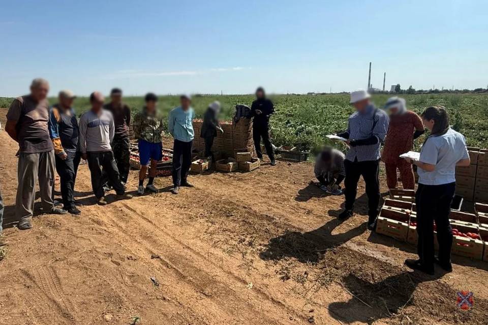 18 протоколов составили в ходе рейдов по нелегалам в Волжском
