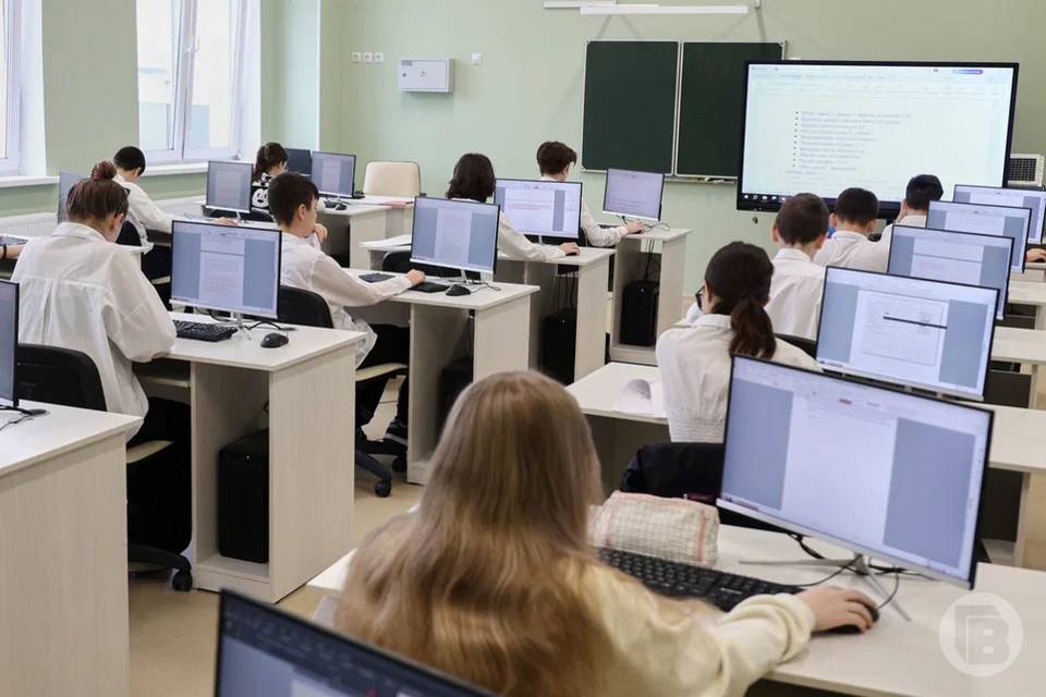 Стало известно, для каких целей волгоградцы чаще всего подключаются к Интернету