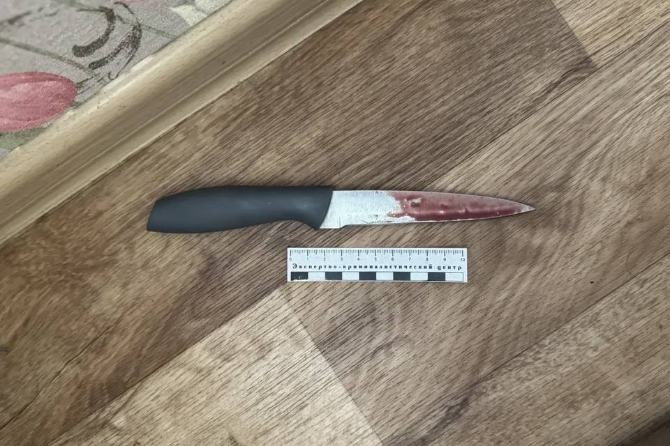 Волгоградка зарезала сожителя из-за ревности